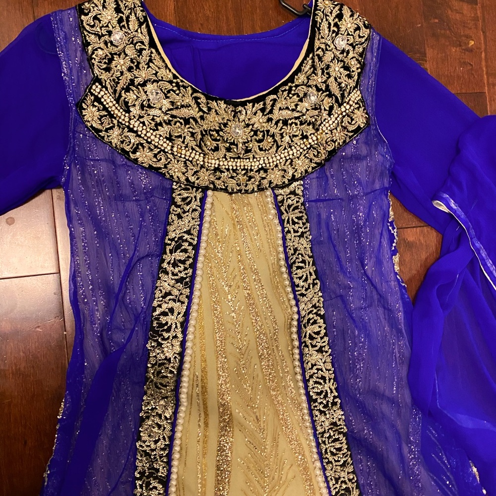 Pakistani Indian Dress